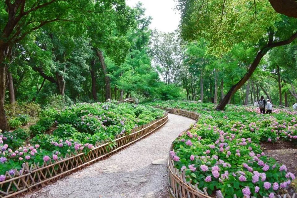 八月风景 花园图片