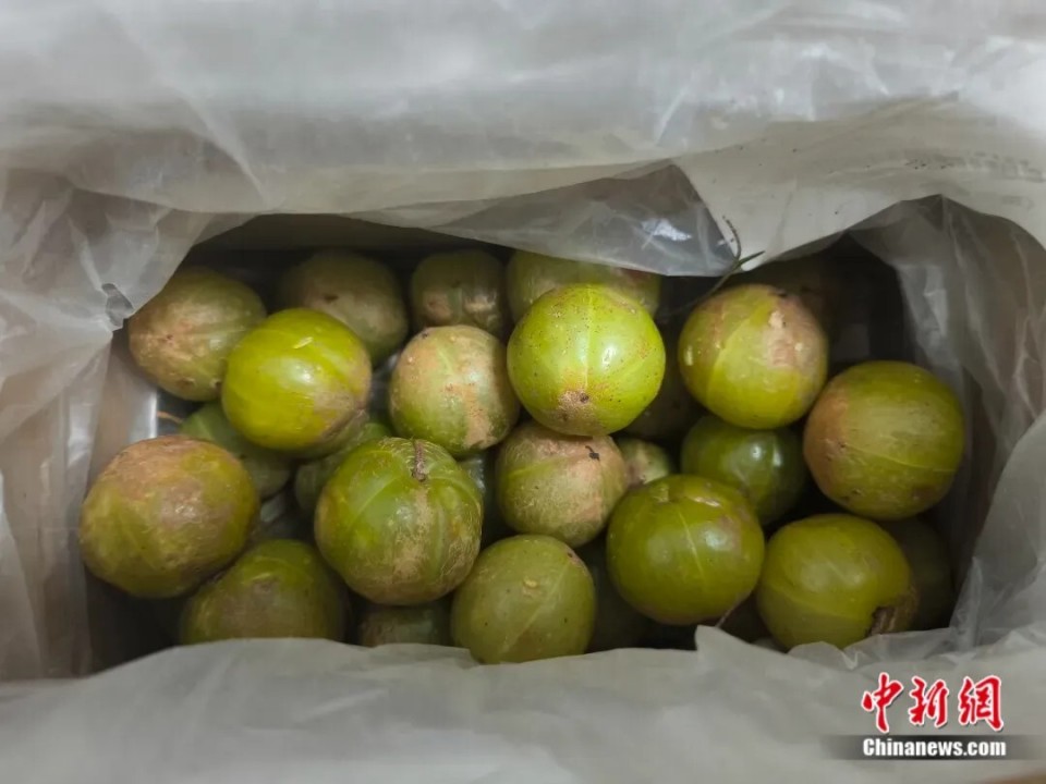 这个旅游日,用最"野"的方式,打开云南人的餐桌!