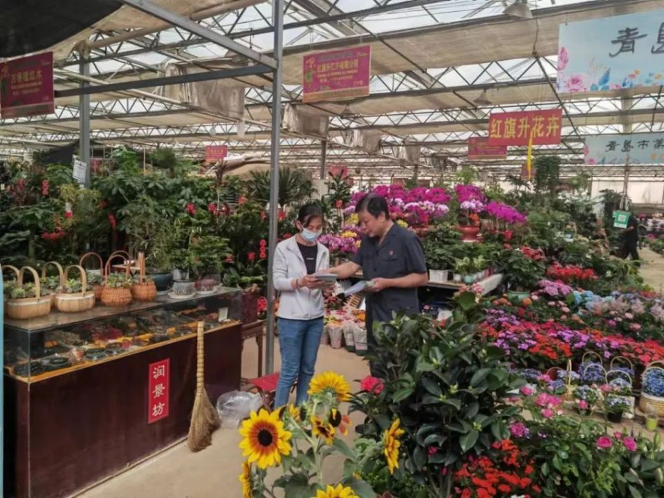 青岛,潍坊两地法院同步开展危害国家重点保护植物犯罪源头,链条治理