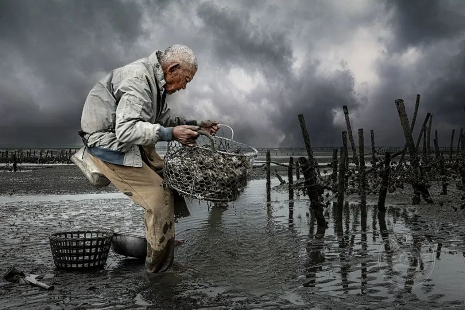 揭晓 | 2024年第十三届台中国际摄影艺术展(人文组)获奖作品