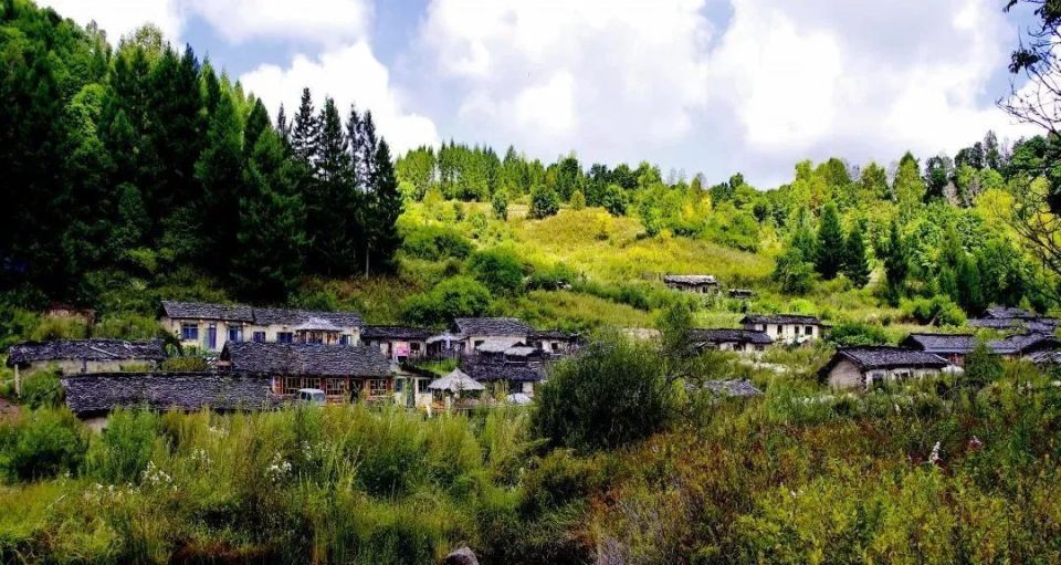 春游白山 奔赴诗和远方 | 我和春天有个约会,打卡白山市抚松县