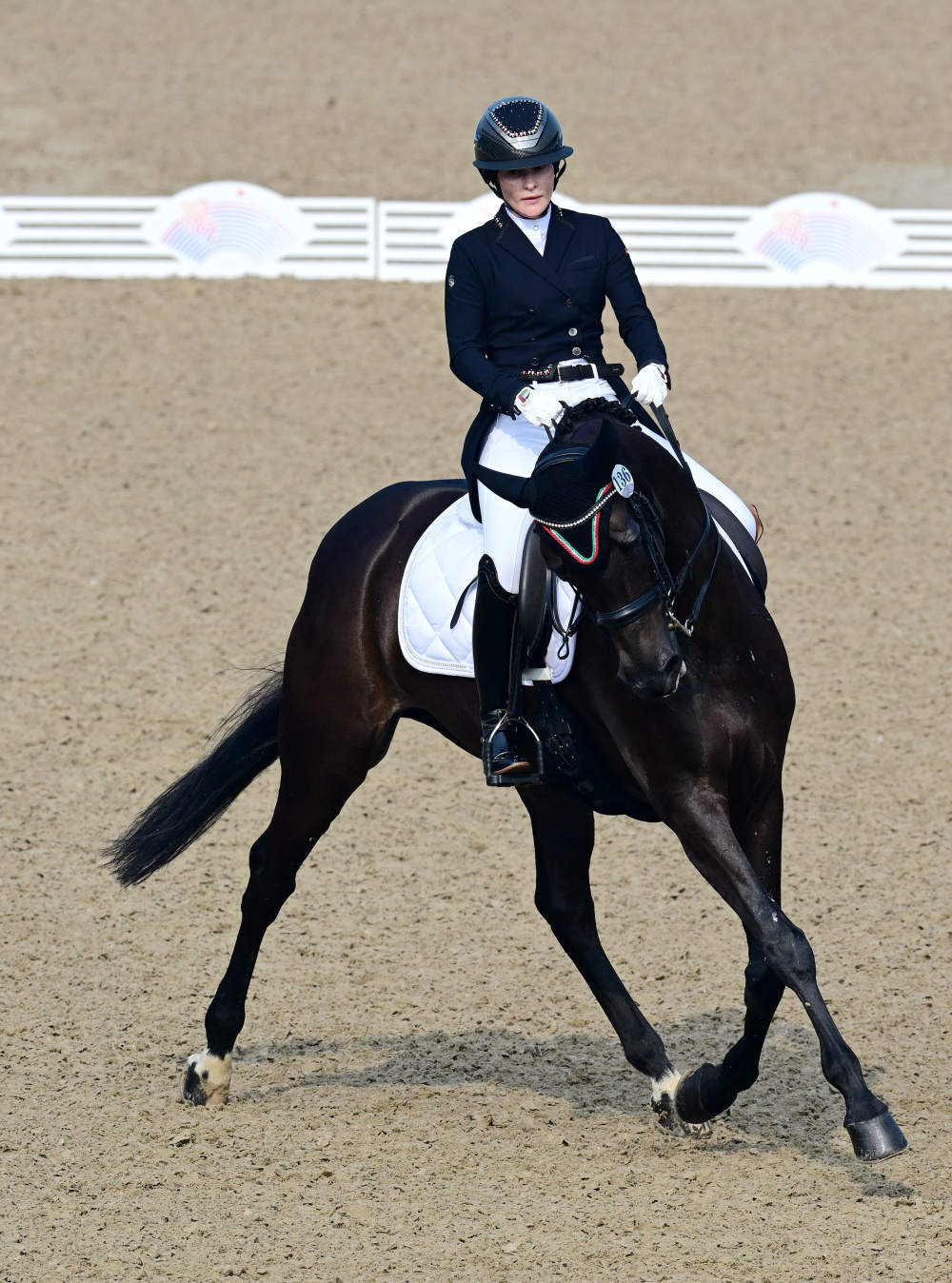 马术盛装舞步个人赛赛况