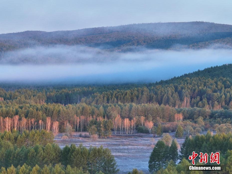 雾起大兴安岭 "中国冷极"秒变仙境_腾讯新闻