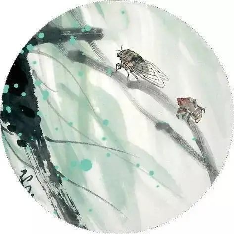 【宁品读】蝉鸣声声