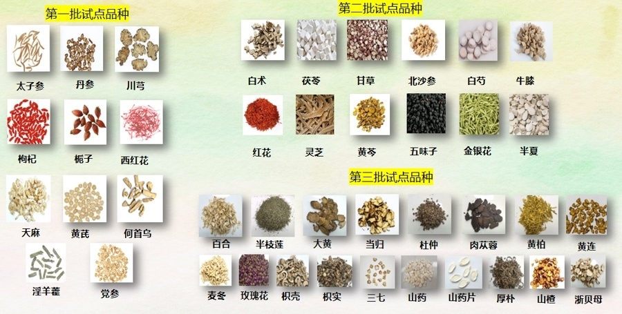 上海中药代煎服务揭秘：500个筒同时开工，日均三四千方，如何保证药效？_腾讯新闻