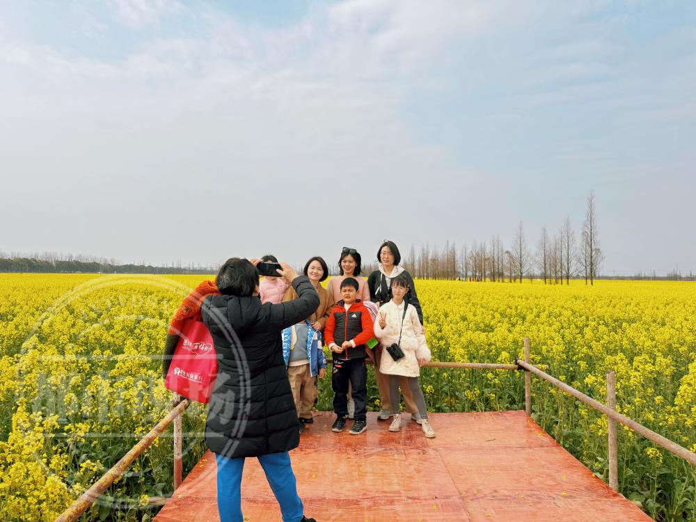 南昌县蒋巷镇春意渐浓赏花踏青正当时