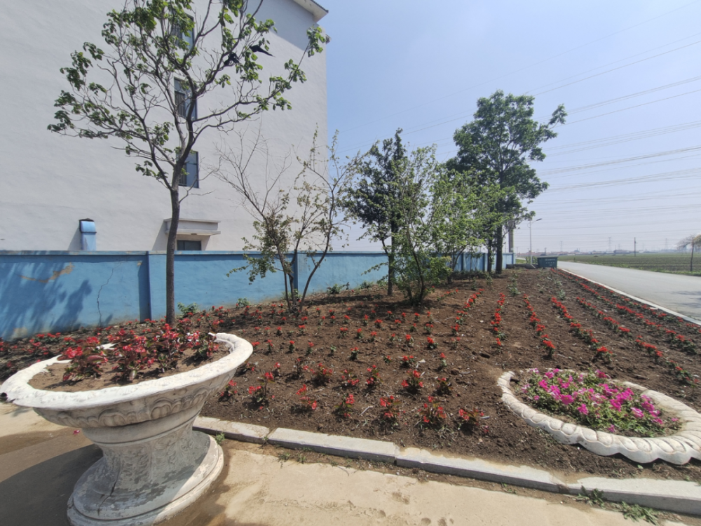 【县域速览】9篇