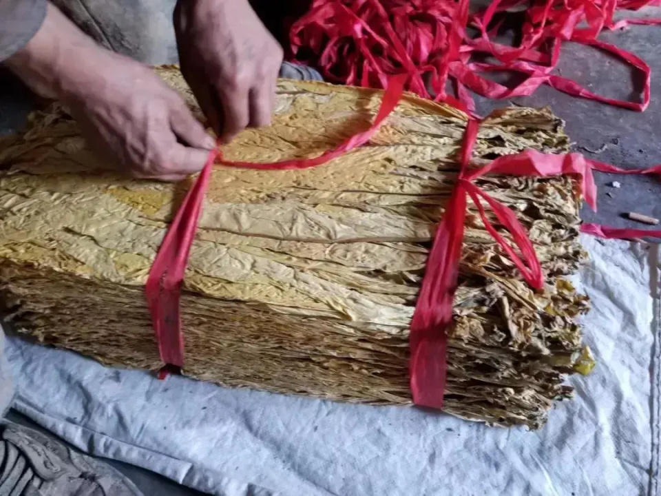 [南方生姜网-图片加载]
