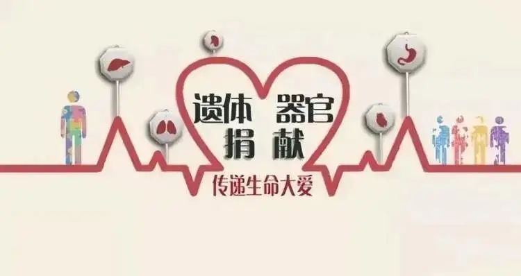 人体器官捐献志愿登记倡议书-腾讯新闻