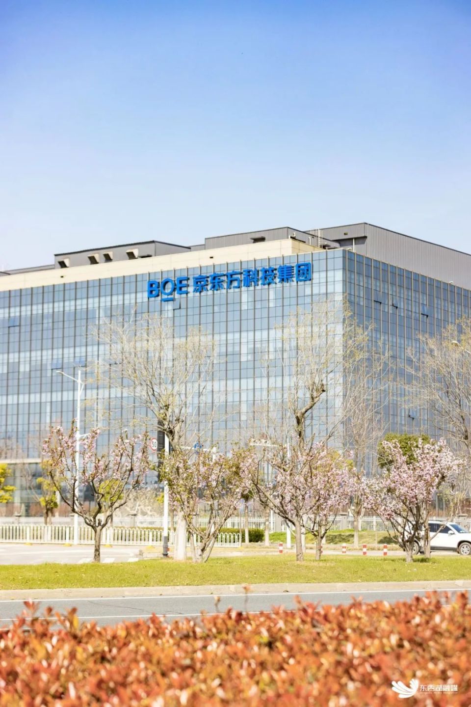 中国网谷  奋楫争先