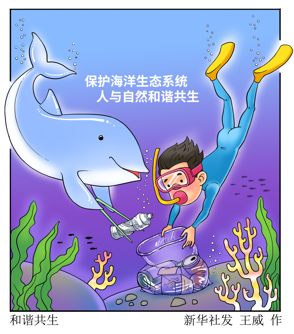 海洋多格漫画图片