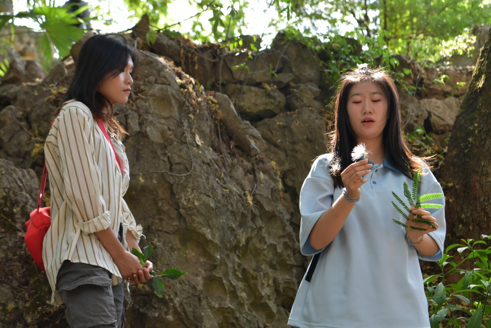 【原创】纠错大学生收到旅游会员卡