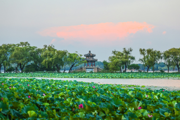 颐和园夏季图片