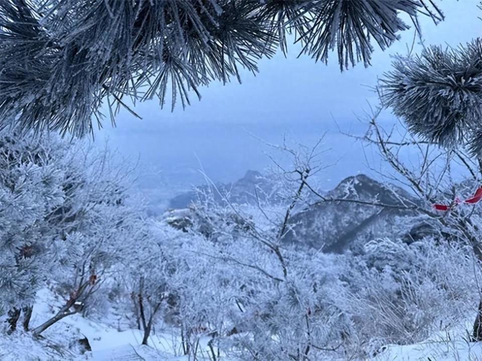 泰山山顶雪景图片