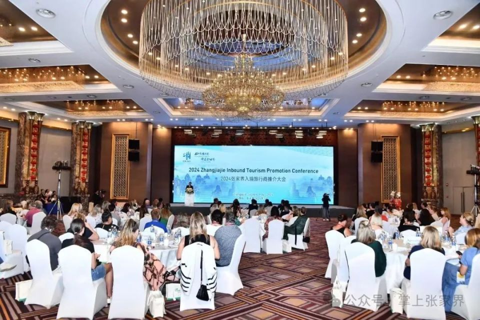 中国驻伦敦旅游办主任张力,西英格兰旅游局局长kathryn davis,市委