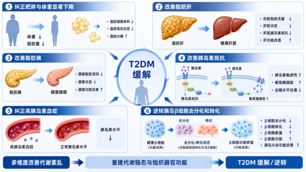 向光大教授：糖尿病缓解的过去、现在与未来_腾讯新闻
