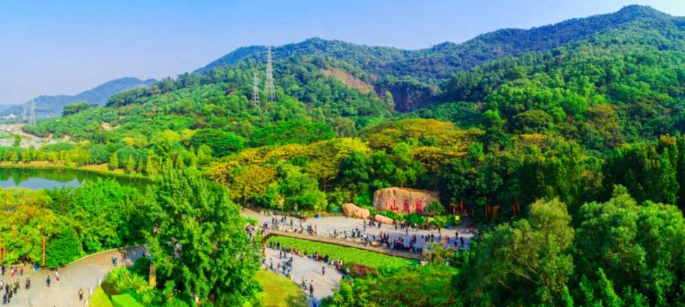 凤凰山森林公园将实施入园游客管控和交通管制_腾讯新闻