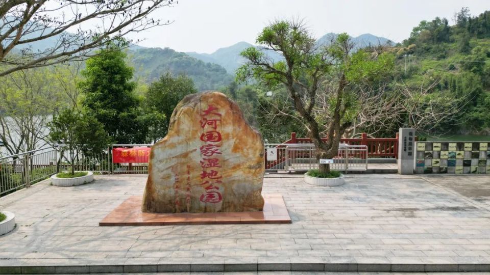 探访广东郁南大河国家湿地公园_腾讯新闻