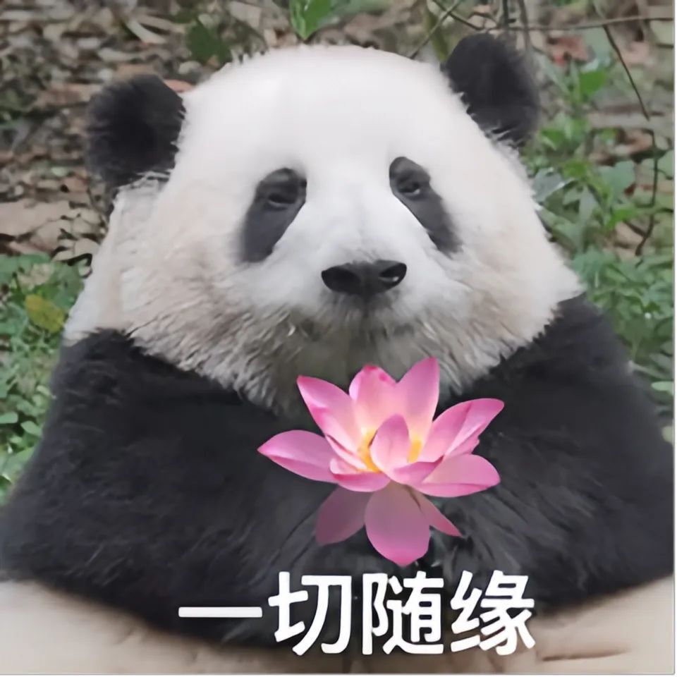 冯提莫称直播纯爱好,自己不会割粉丝韭菜,因为于心不忍!