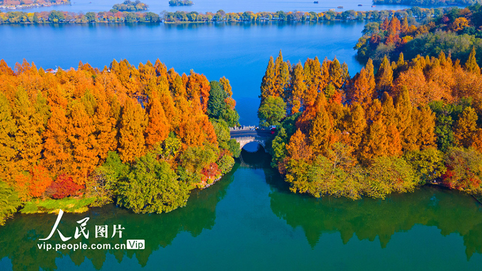 浙江杭州西湖杨公堤美景如画