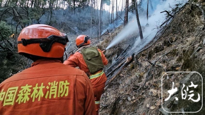 四川雅江县山火 | 坡陡林密,风大天干 森林消防员以水灭火沿火线向山