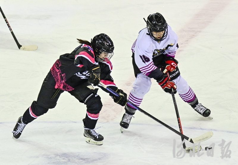 聚焦"十四冬"丨冰球逐梦