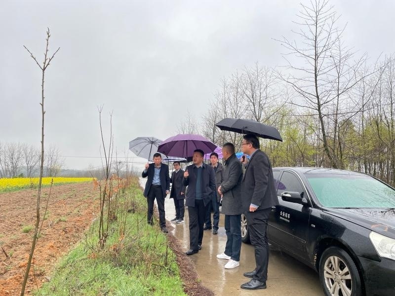 程军才到明光市调研指导油菜种植工作