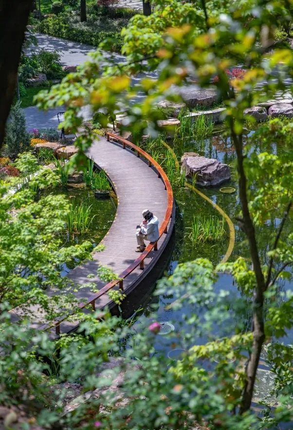 宝山滨江公园漫步在宝山滨江公园的健身步道,绿荫环绕,花草飘香,散步