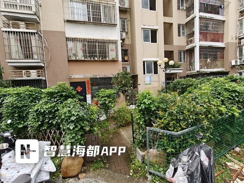 福州一小区：绿化带被一楼业主私自占用，咋