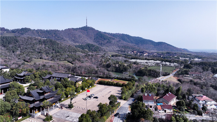 宣城宣州百亩梨花开赏花正当时