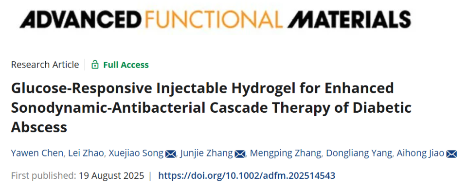 医用抗菌水凝胶怎么用南京工业大学AFM：新型可注射水凝胶为糖尿病脓肿治疗提供级联抗菌新策略_https://www.jmylbn.com_新闻资讯_第1张