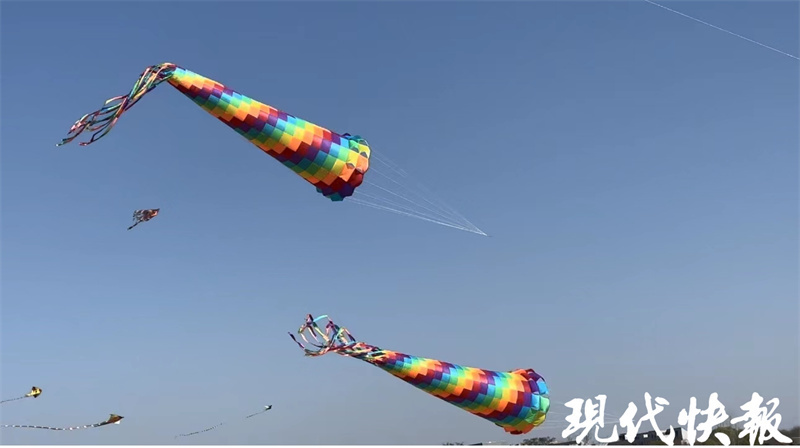 徐州大龙湖风筝图片