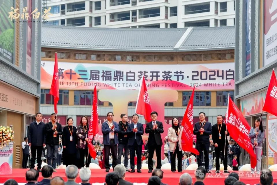 第十三届福鼎白茶开茶节·2024白茶交易大会盛大启幕!