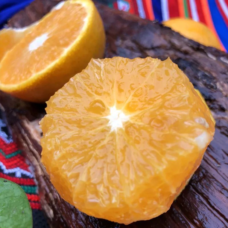 清爽橙香 淡淡蜜味!江永夏橙,真的可以