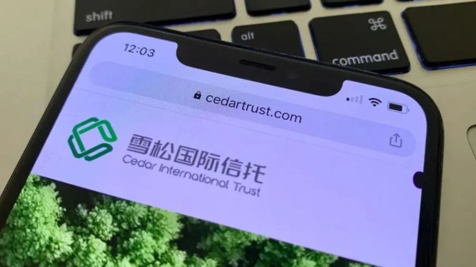 雪松信托长青系列产品资金流向雪松集团_腾讯新闻