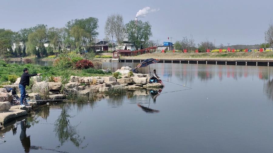 枣庄乡村振兴采风行市中区西王庄镇解锁育种密码激活发展新引擎
