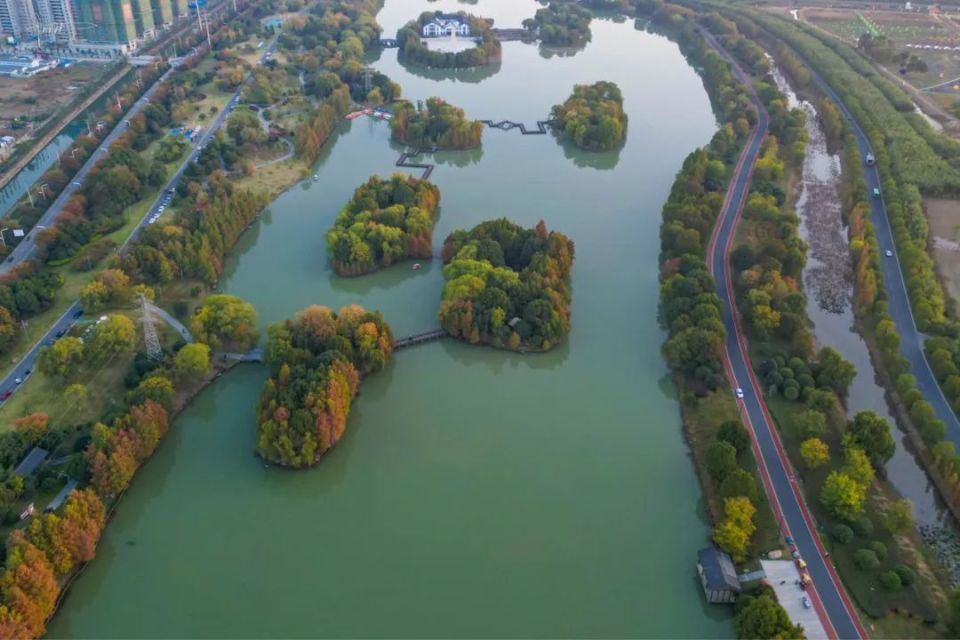 打卡隐藏在五里湖湿地公园的水上秘境环境绝佳太适合拍照了