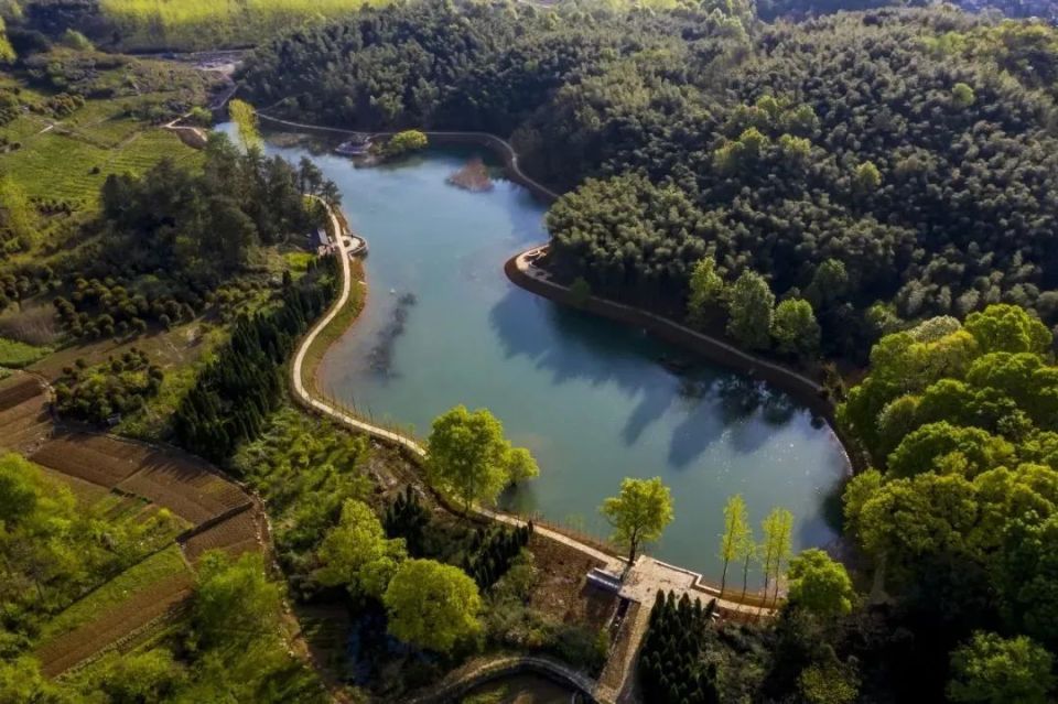 芜湖和平森林公园图片