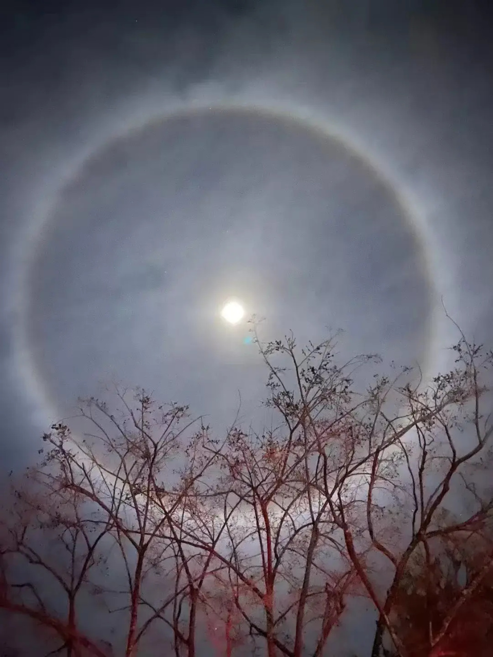 云南曲靖和丽江两地天际均闪现月晕自然奇观皎洁月亮浑圆如同太阳环绕