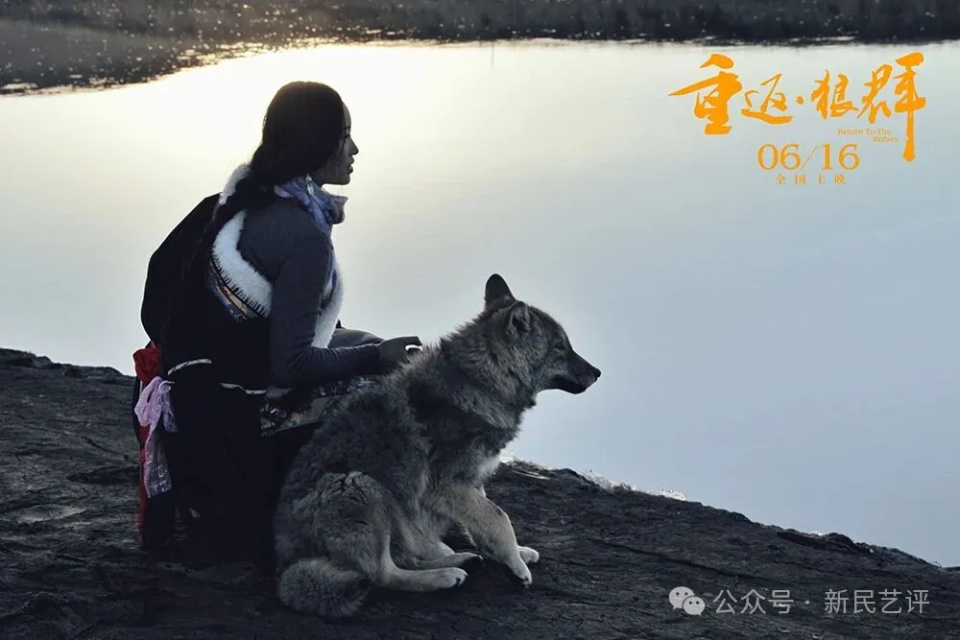 新民艺评丨周蓬桦：是谁丑化了狼_腾讯新闻
