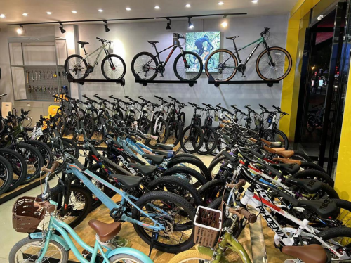 凤凰fnix自行车专卖店荣获  2024年度湘潭市首届《金牌自行车专卖店》