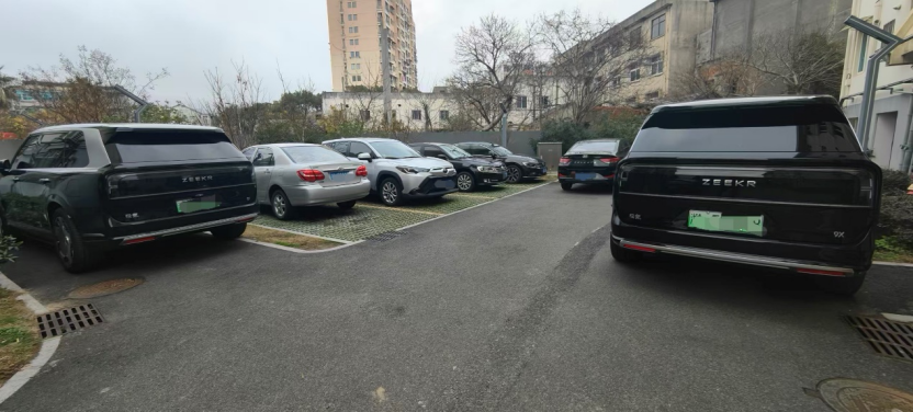 春节新能源车出行创新高，极氪等国产车“唱主角”_腾讯新闻