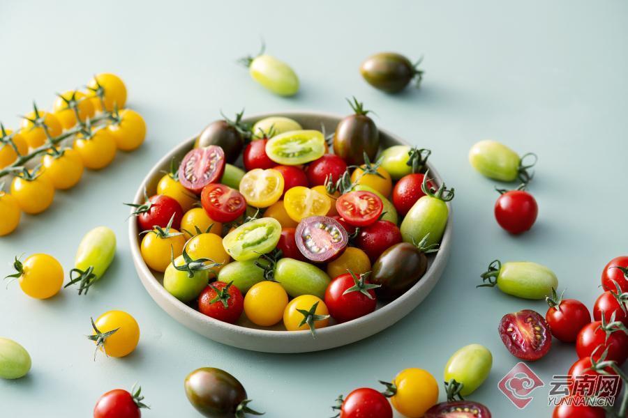 "来七彩云南吃七彩番茄.
