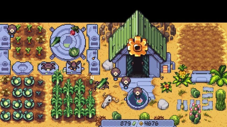 641