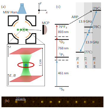 55毫秒!里德堡原子突破量子比特寿命限制