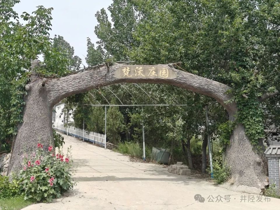 寒酸?井陉80后村支书