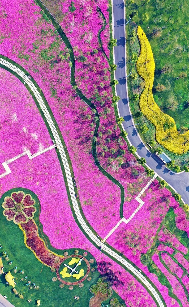 被红河的春天"硬控"了!_腾讯新闻