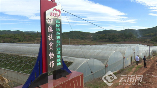 楚雄大姚:村级集体经济激活乡村振兴"动力源"