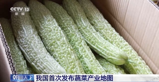 [南方生姜网-图片加载]