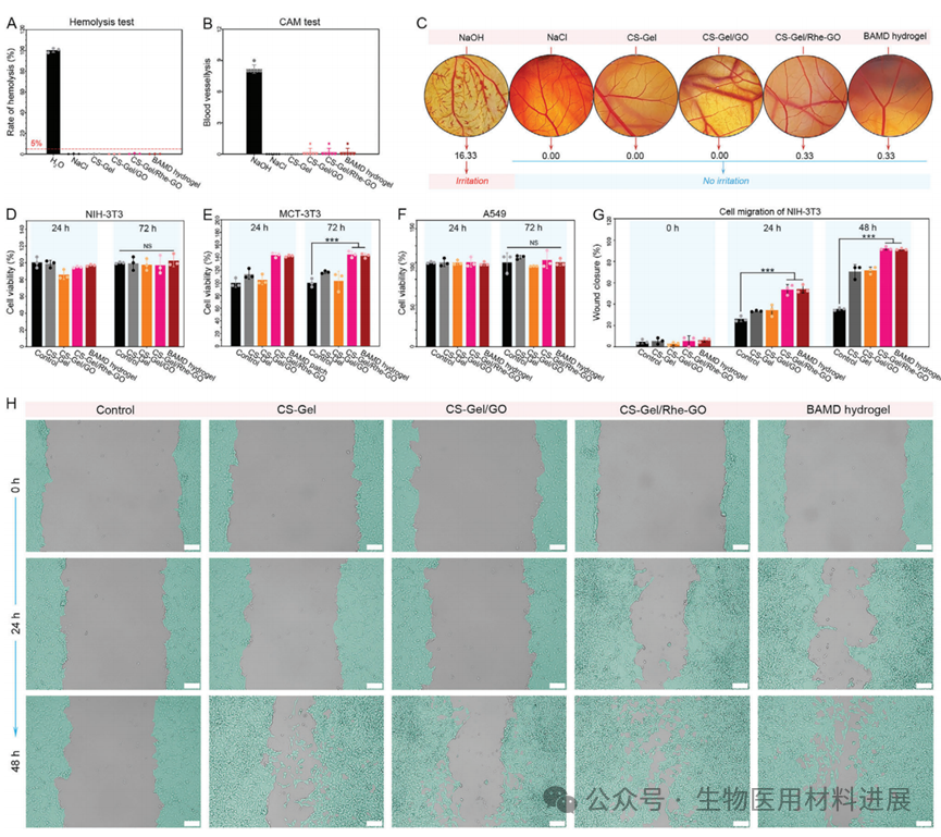医用抗菌水凝胶怎么用《AFM》湖北大学吴水林／河工大刘想梅： 多模式消毒功能的强粘附Janus水凝胶，用于多重耐药金葡球菌感染的开放性伤口快速修复_https://www.jmylbn.com_新闻资讯_第7张